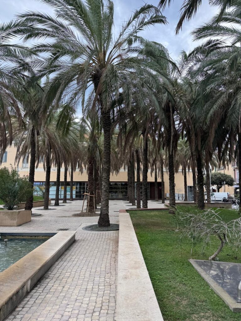 Palme Giardini Nassiriya 03