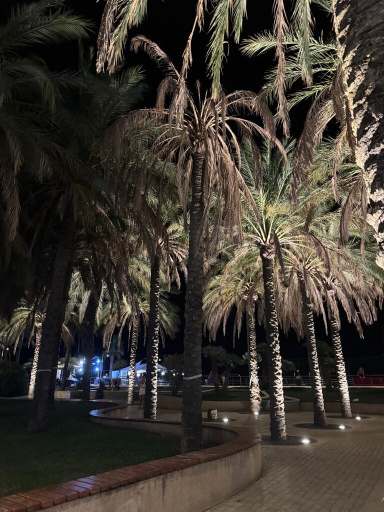Palme Giardini Nassiriya 05