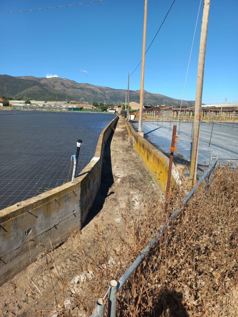 Albenga investe 320mila€ in sicurezza idrogeologica con ditte e operai comunali per prevenire allagamenti e tutelare il territorio.