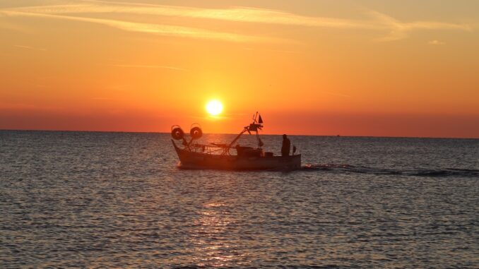 e la barca va
