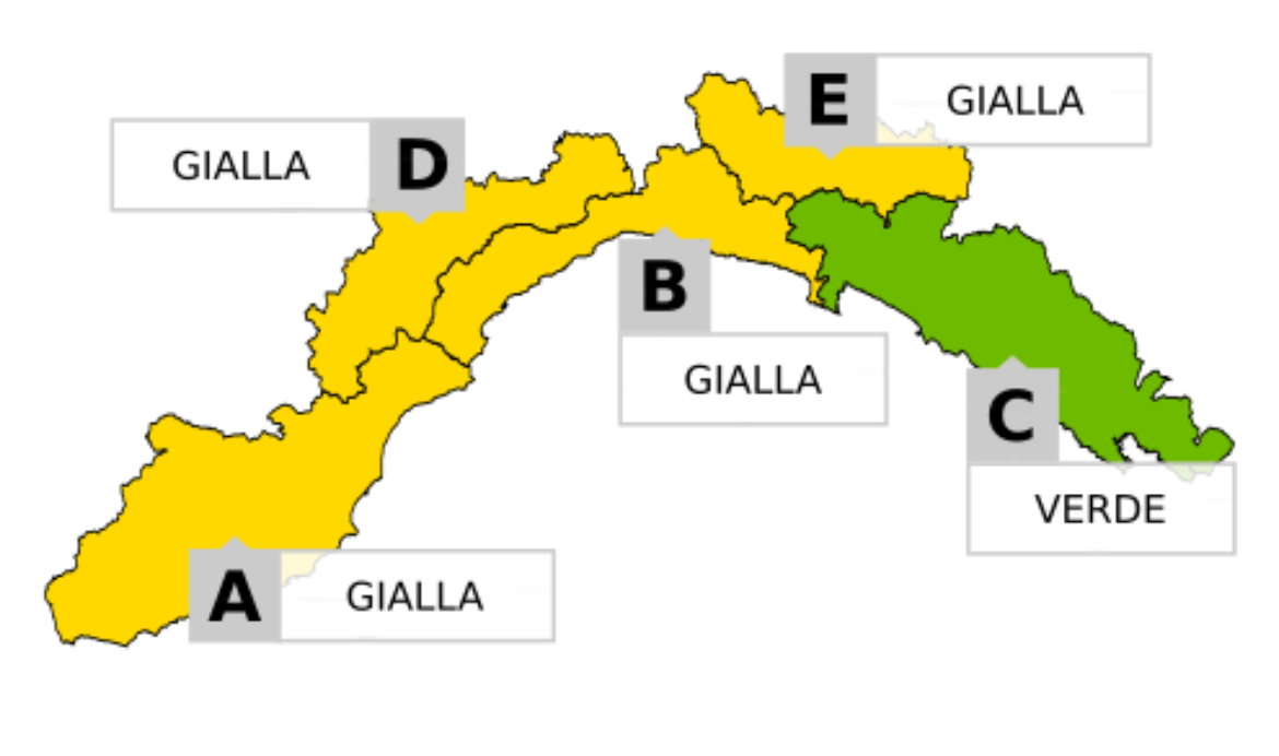 Cartina allerta