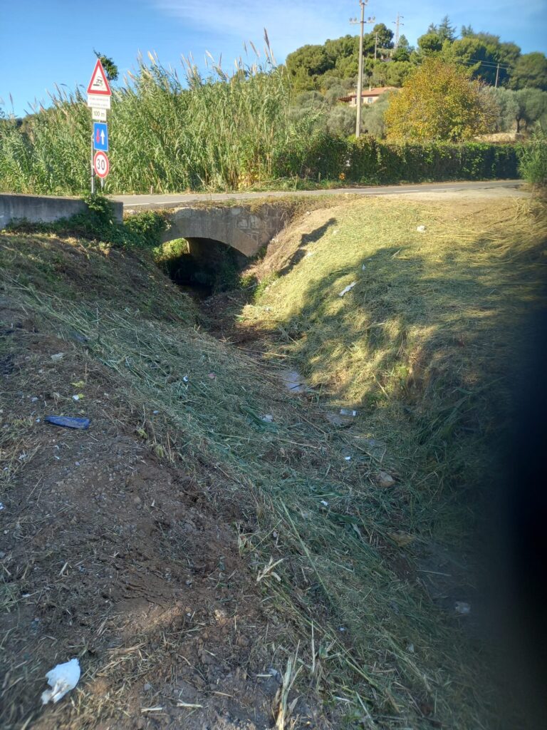 rio enesi