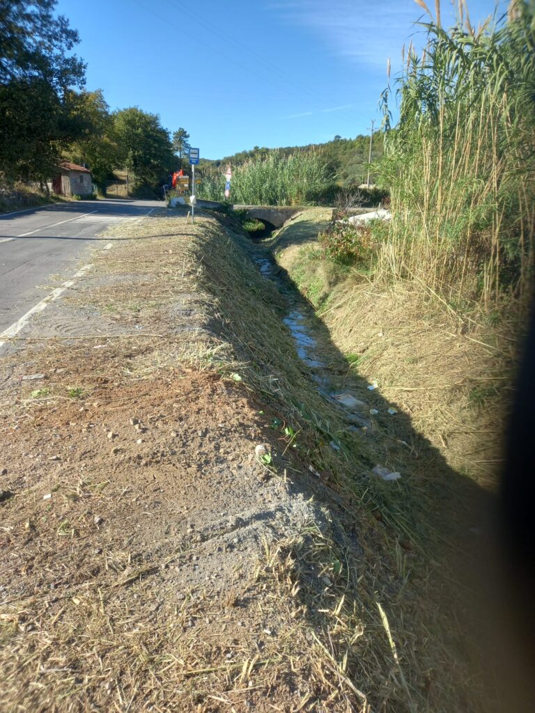 rio enesi
