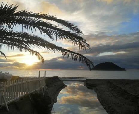 riflessi