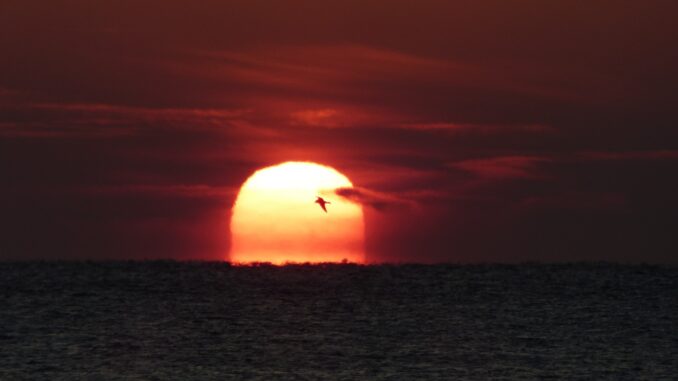la porta del sole