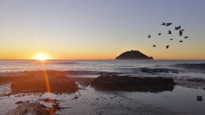 le migrazioni del sole