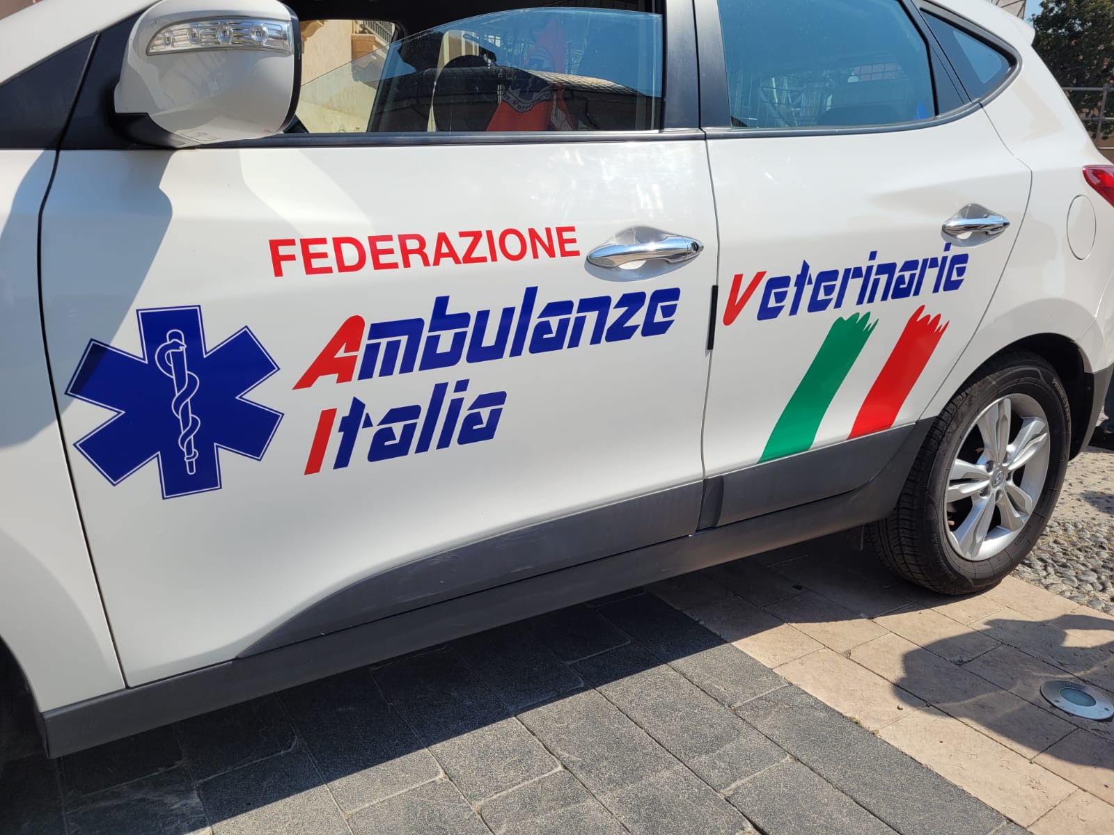 Ambulanza Veterinaria