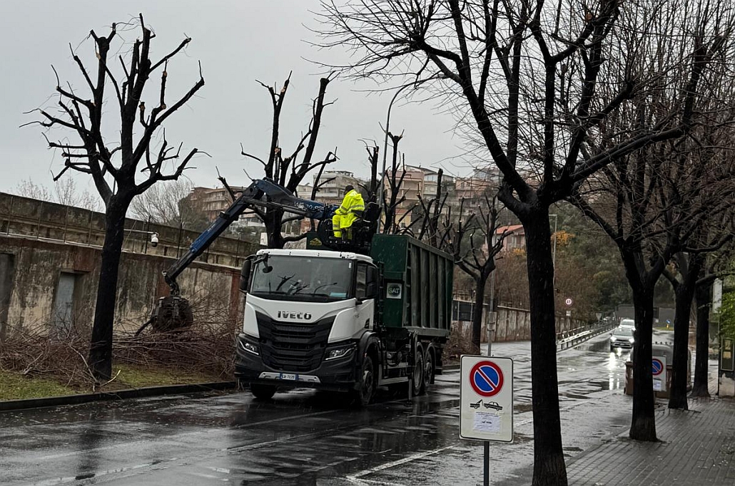 Lavori di potatura ad Albenga