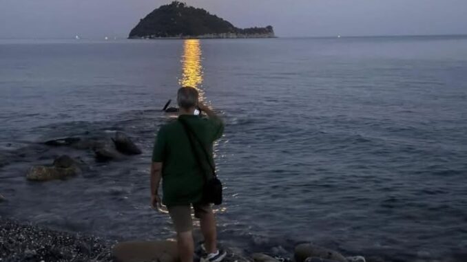 camminare lungo la linea gialla