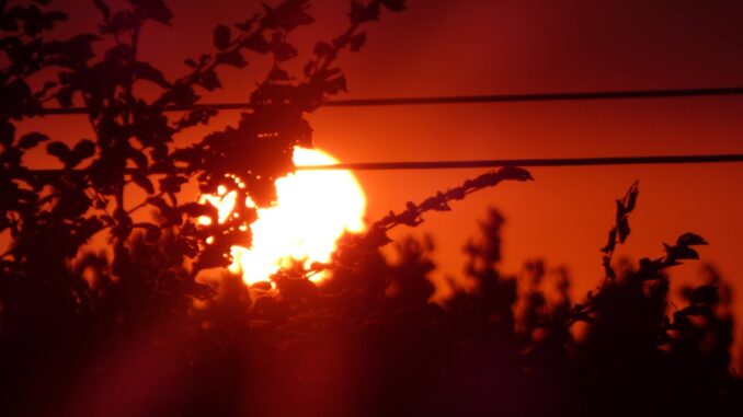 rosso d'alba come un tramonto