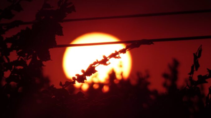 la luna piena nel rosso del cielo