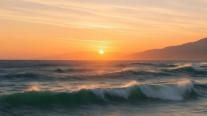 mare