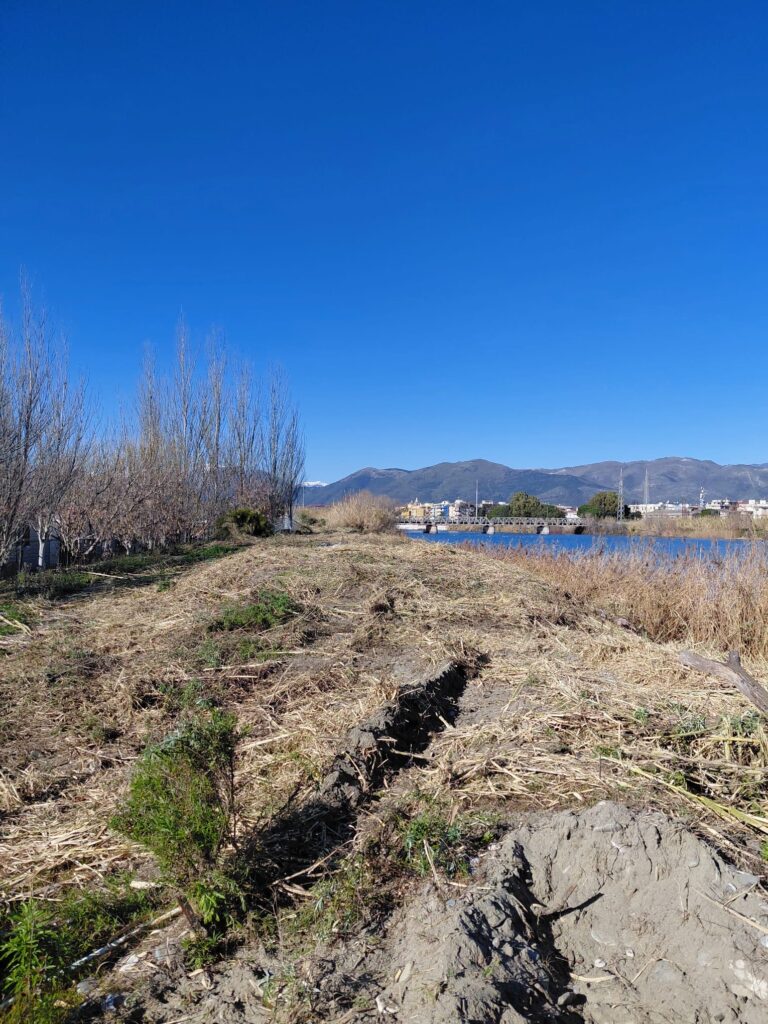 Operazioni di pulizia fiume Centa ad Albenga