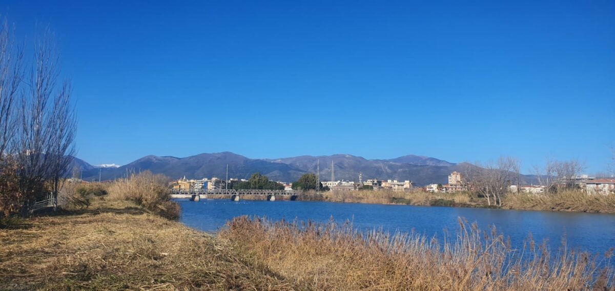 Operazioni di pulizia fiume Centa ad Albenga