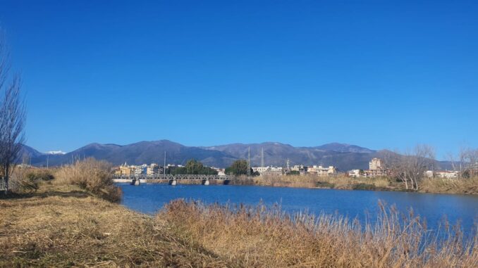 Operazioni di pulizia fiume Centa ad Albenga