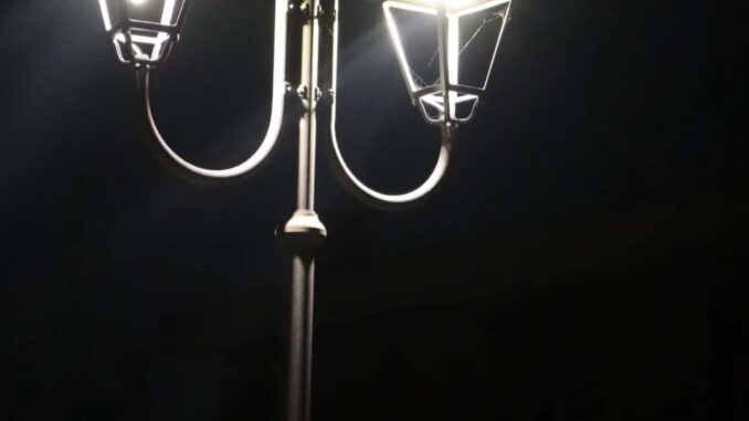 Foto in BN: Armonie di lici nella notte