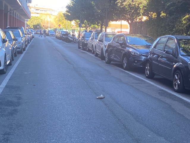 Pantegana sulla strada di Albenga