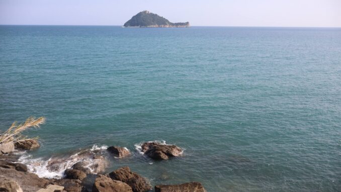 Come un'acqua marina segue le correnti
