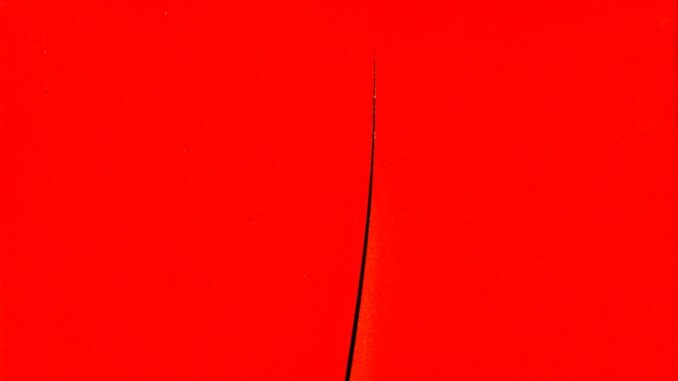 Un particolare dell'opera Attese di Lucio Fontana Conservata a Savona