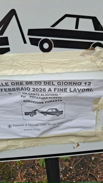 Albenga, pini abbattuti a Vadino 00