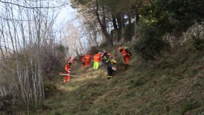 Gruppo Comunale di Protezione Civile di Alassio - linea tagliafuoco