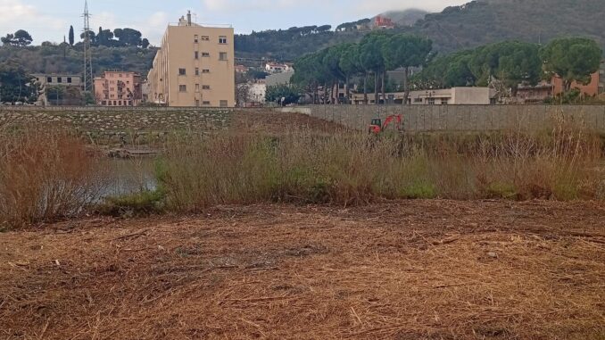 Pulizia Centa ad Albenga