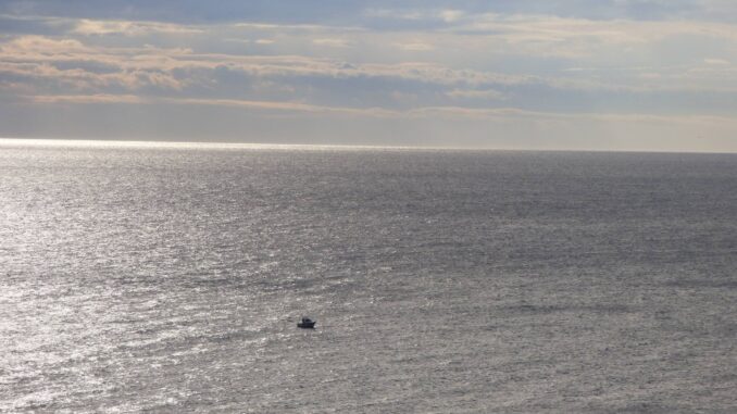 Come piccole ombre nel mare