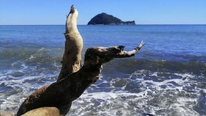 Attese