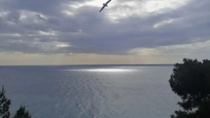 Pioniere del volo cerca la luce