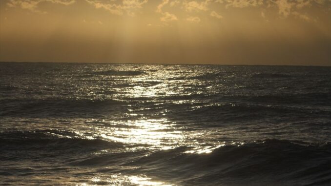 Tra le onde del mare