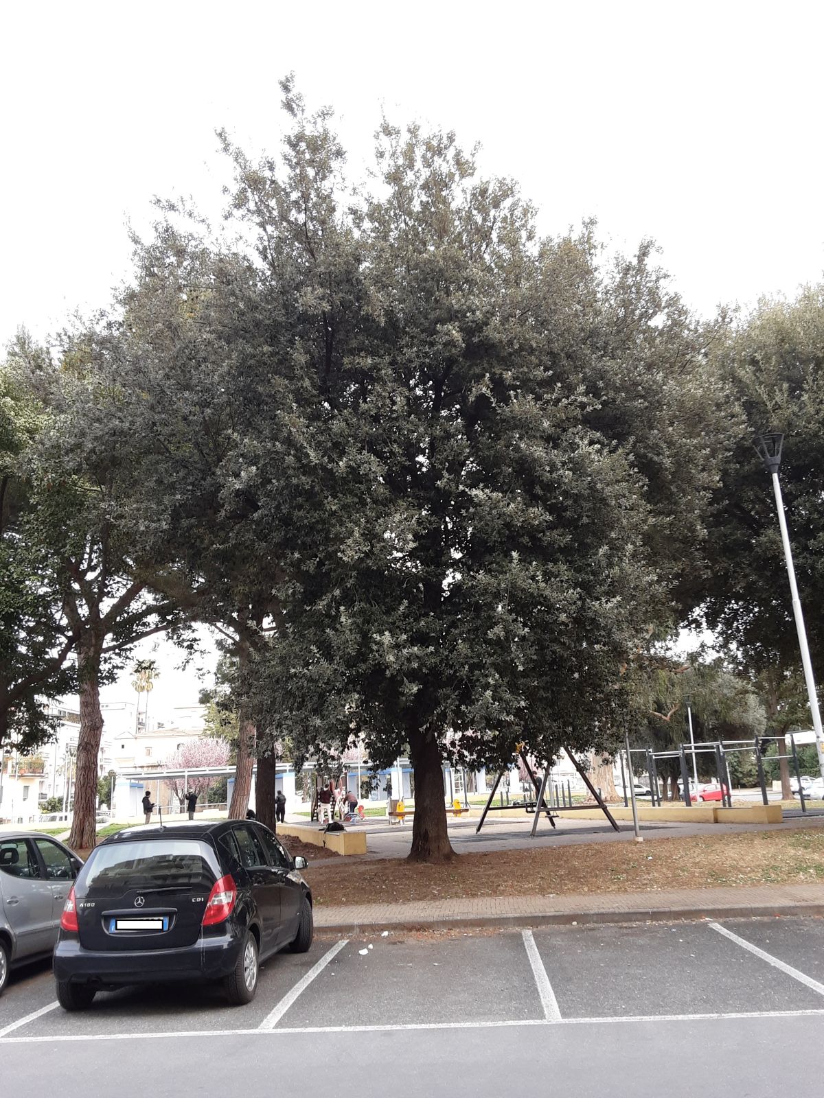 un angolo del parco