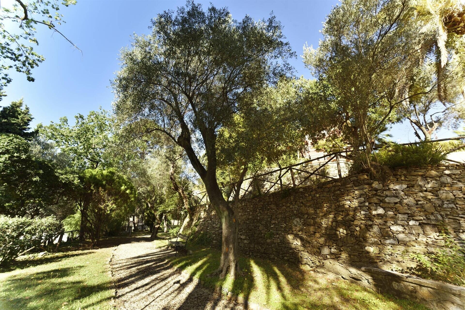 Angoli pregevoli del parco