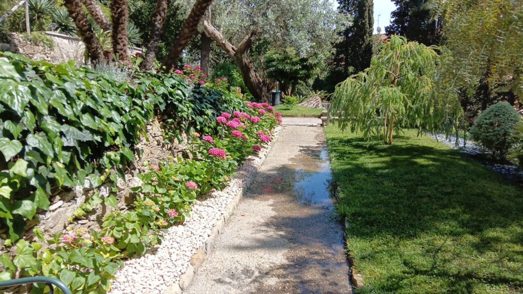 Angoli pregevoli del parco