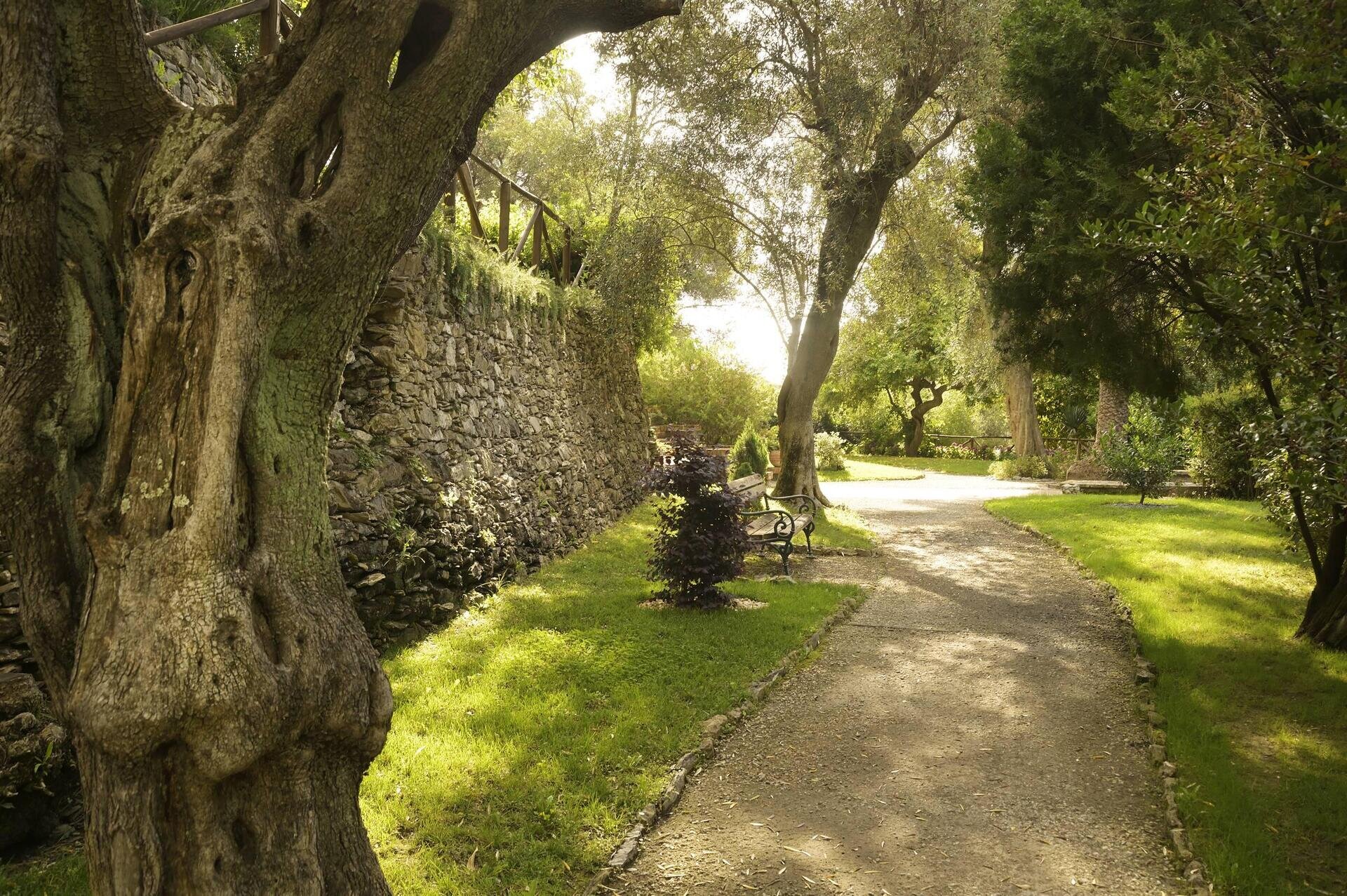 Angoli pregevoli del parco