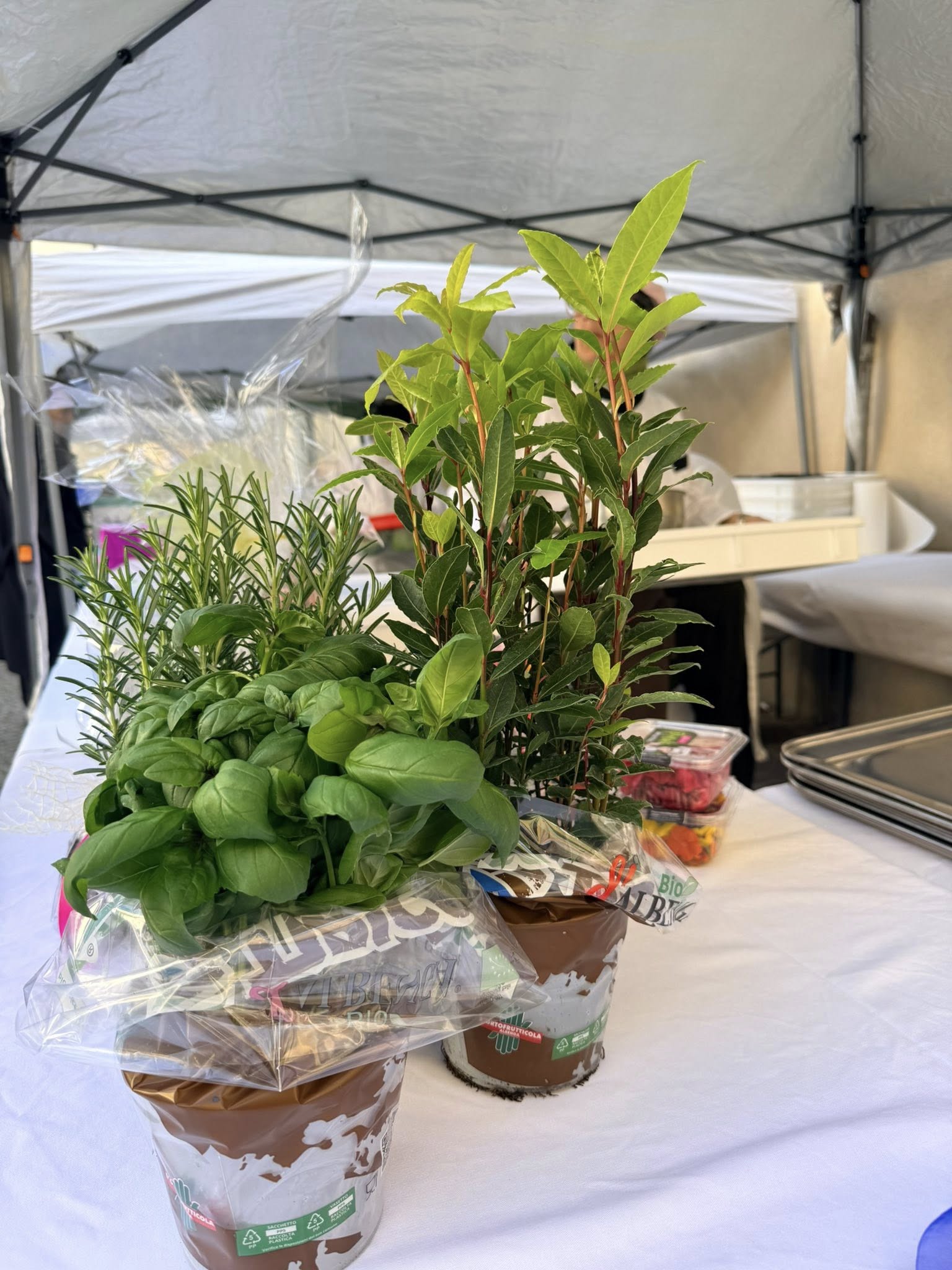 stand Albenga in Tavola