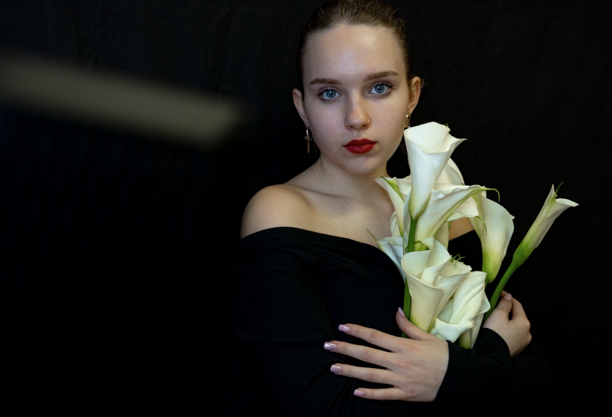 opera in mostra