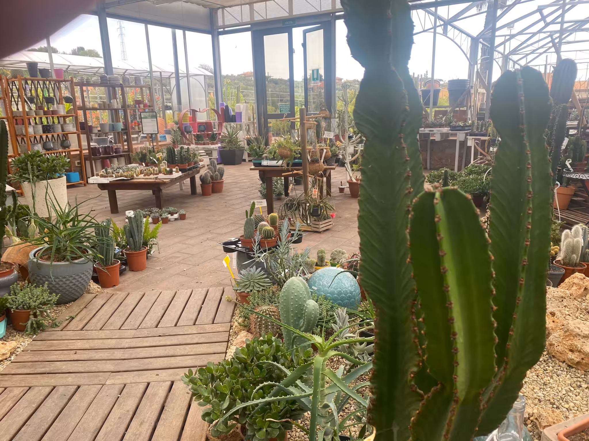 interno con piante, vasi e fiori