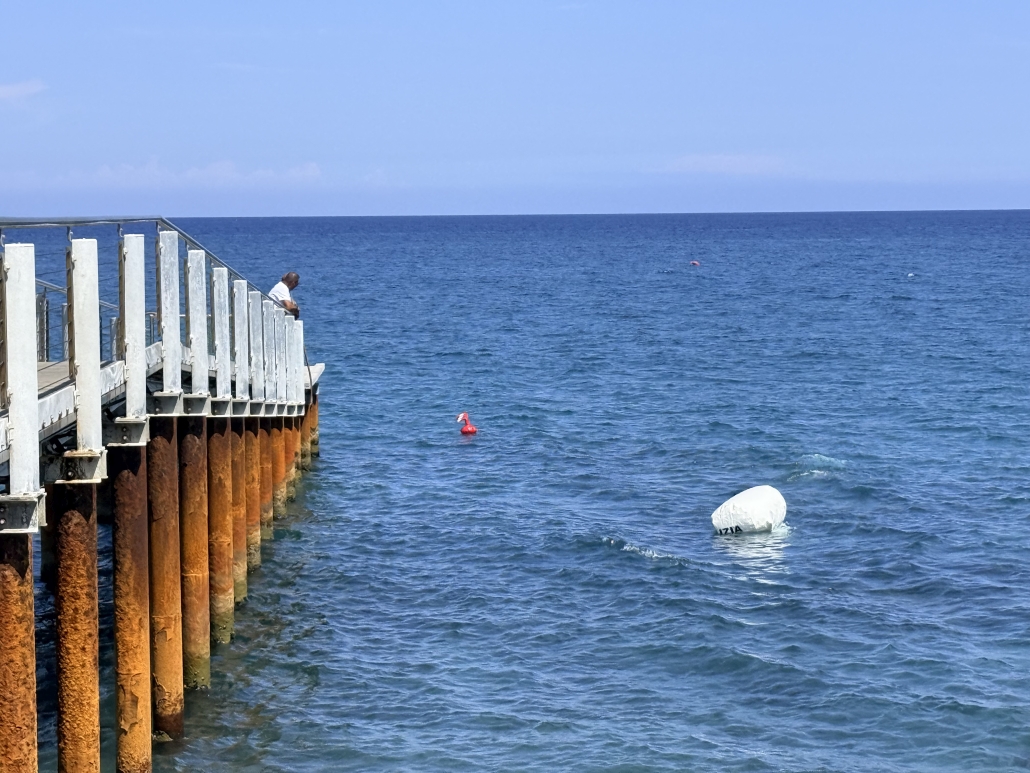 Lavori pontile pesca