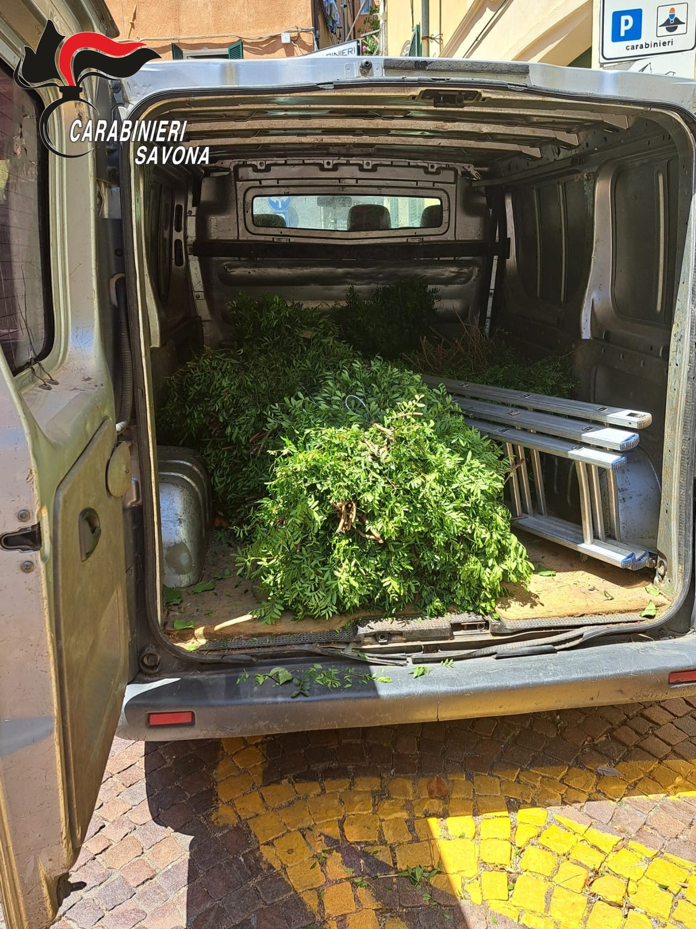 Furgone con fronde sequestrate