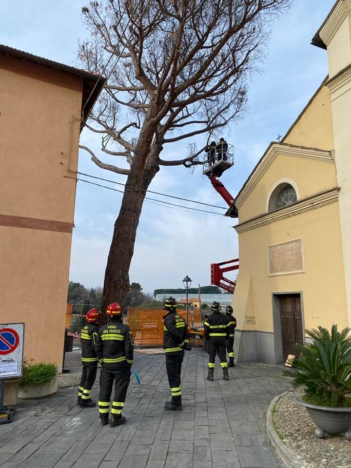 Pino valutazione vigili del fuoco