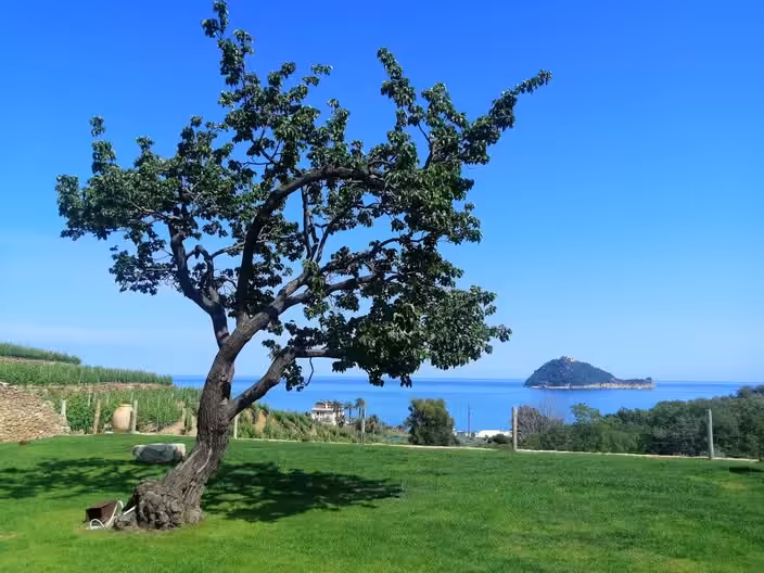 Albe di Albenga